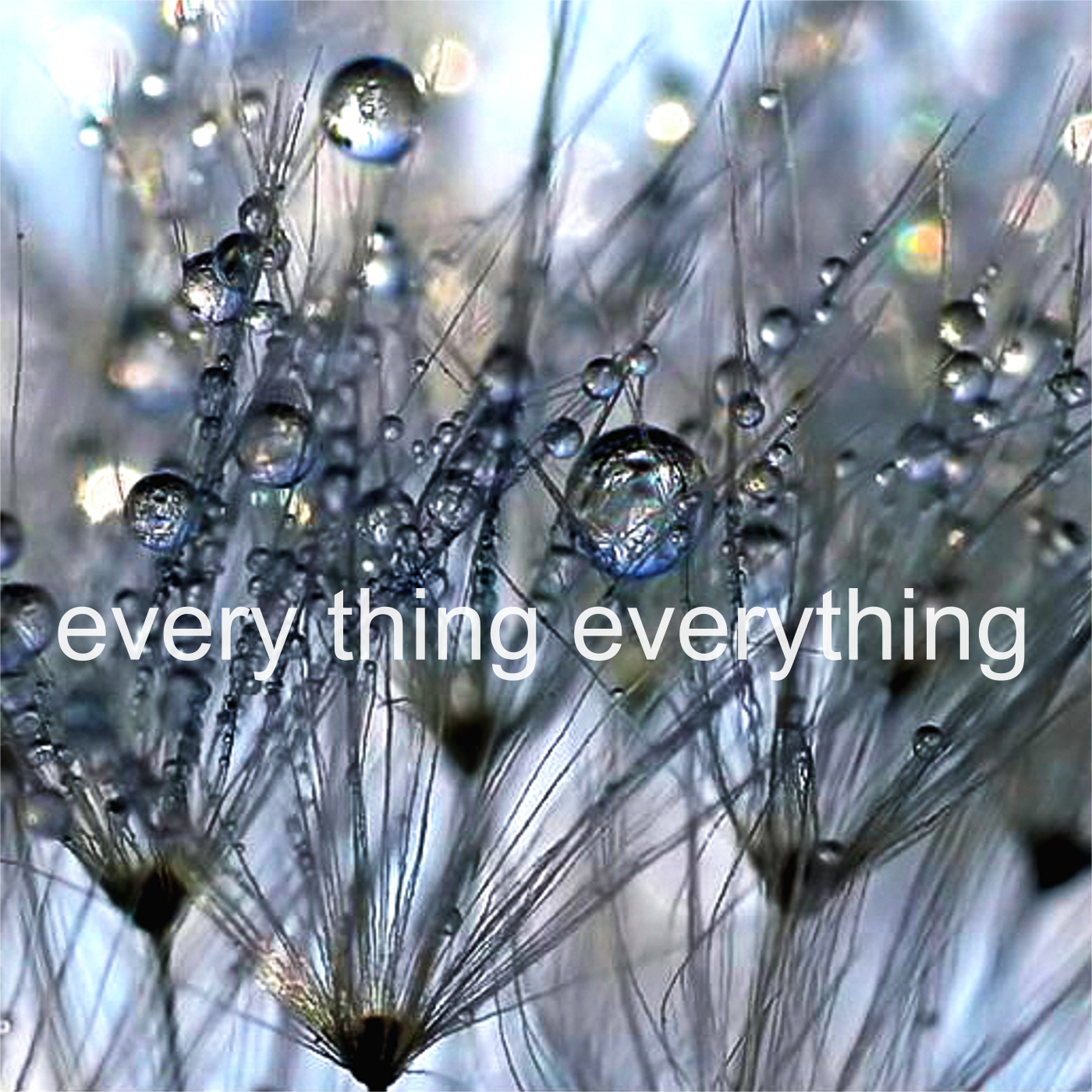 Stephanie Rearick  - every thing everything