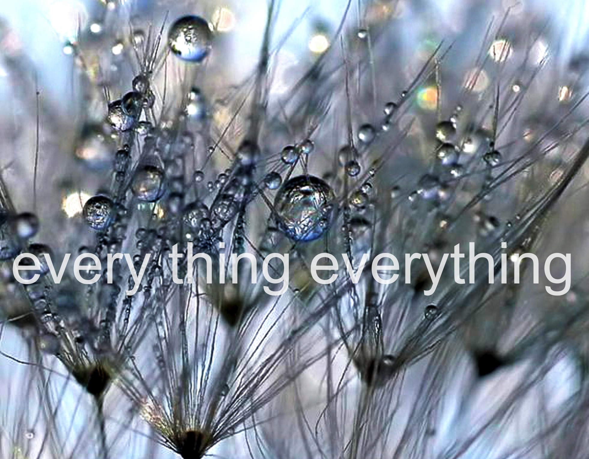 Stephanie Rearick - every thing everything